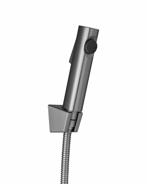 Brushed Nickel ABS Toilet Bidet