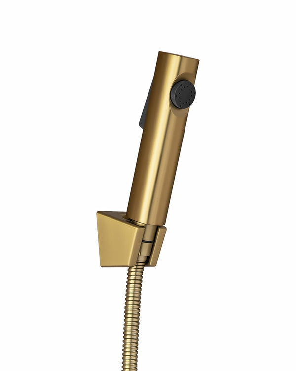 Brushed Brass ABS Toilet Bidet