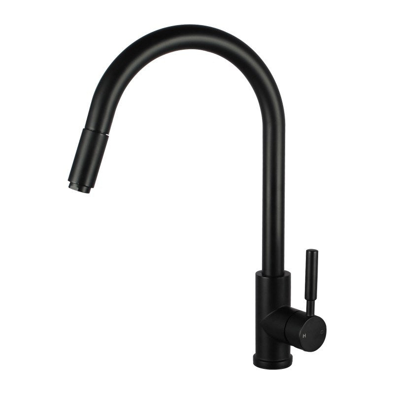 Black Pull Out Kitchen Mixer