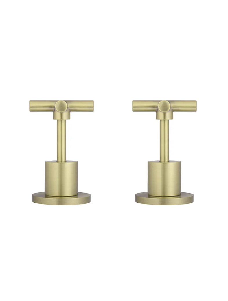 Cross Handle Jumper Valve Wall Top Assemblies