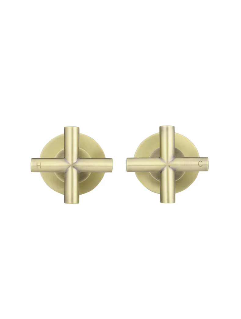 Cross Handle Jumper Valve Wall Top Assemblies