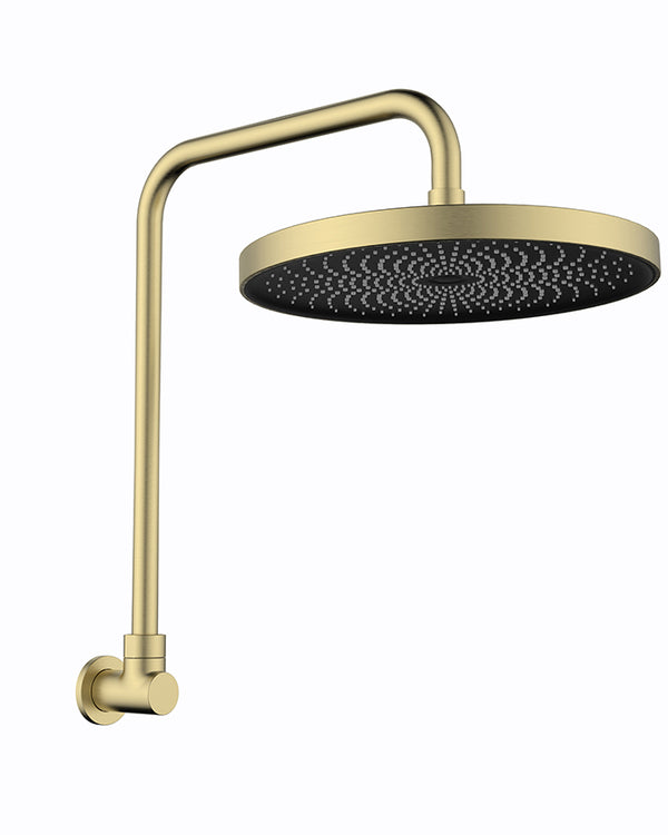 The Gabe Gooseneck Shower - Brushed Gold