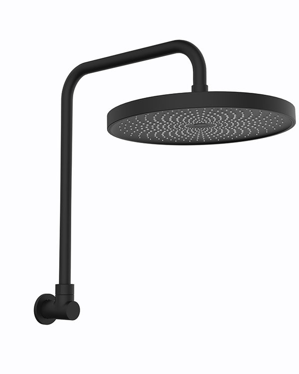 The Gabe Gooseneck Shower - Matte Black