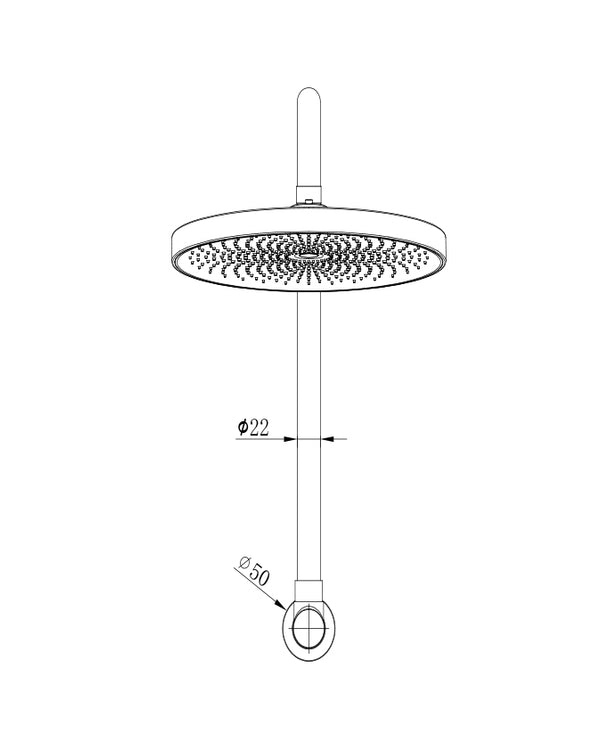 The Gabe Gooseneck Shower - Chrome