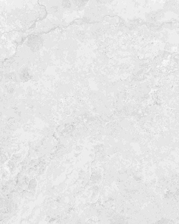 CROSSCUT SOFT POLISHED - SILVER 600 * 1200