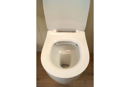 Narva Rimless Floor Pan with thin seat, Inwall Cistern & Brushed Stainless Steel Button
