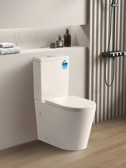Avis KDK022R Rimless Toilet