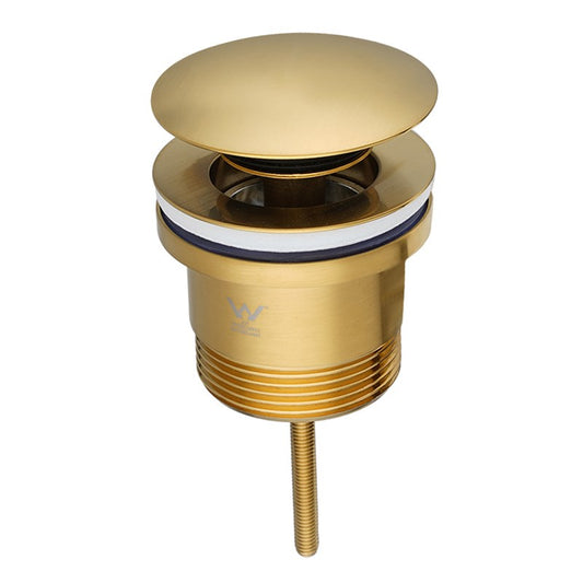 Brushed Brass Pop Up Waste Universal