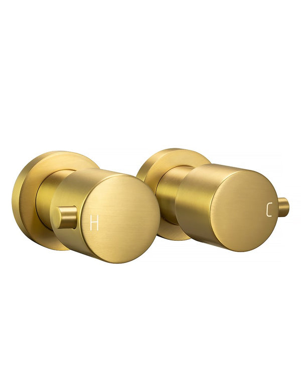 Brushed Brass Wall Tap