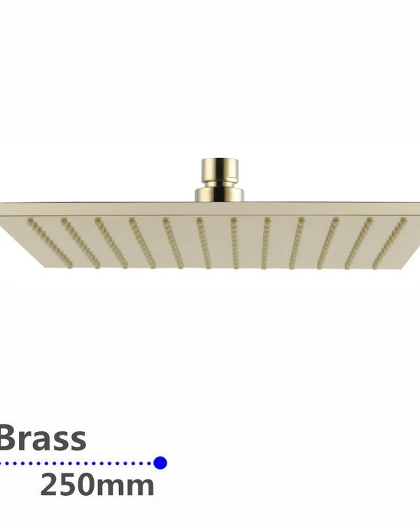 250mm Brushed Brass Shower Head
