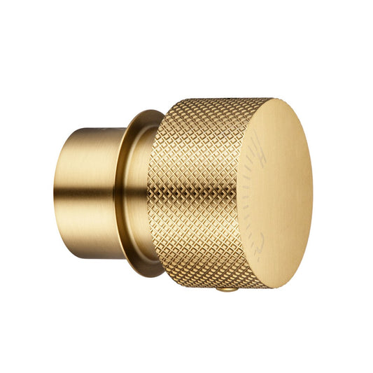 Progressive Brushed Brass Handle