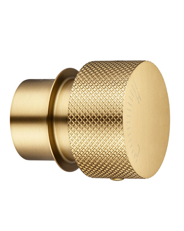 Progressive Brushed Brass Handle