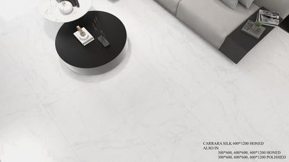 CARRARA POLISHED- GREY 600 * 600