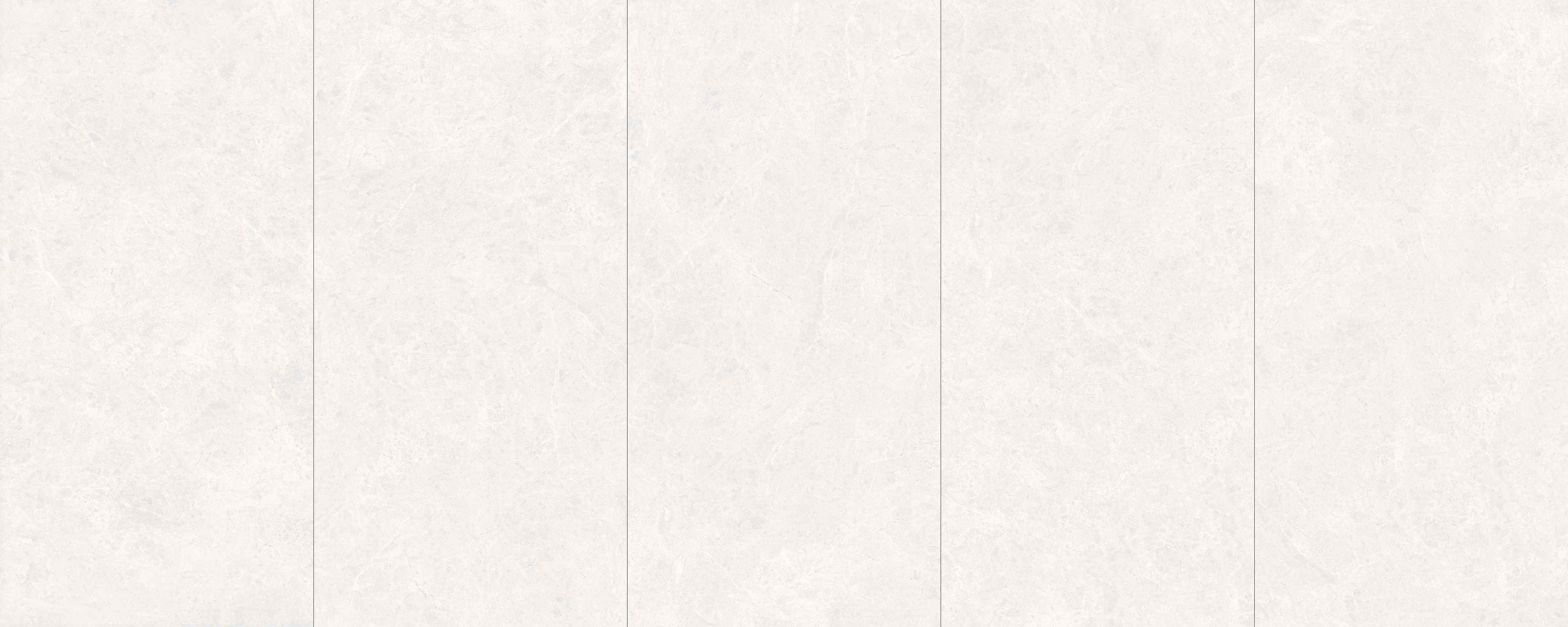 MODENA MATT - SNOW 600 * 1200