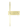 MECCA SHOWER MIXER DIVERTOR SYSTEM BRUSHED GOLD