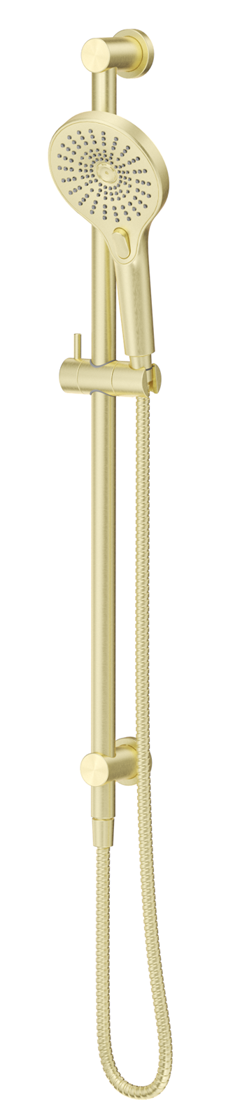 Mica Shower Rail - Inbuilt Inlet French Gold