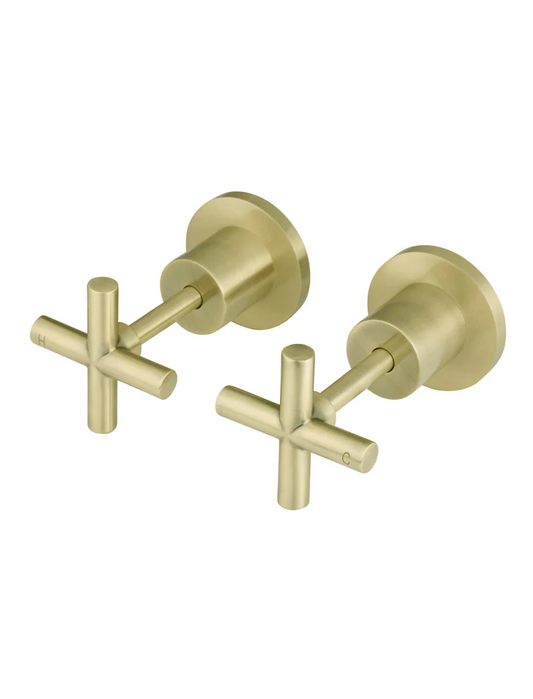 Cross Handle Jumper Valve Wall Top Assemblies