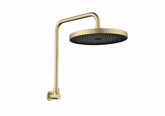 The Gabe Gooseneck Shower - Brushed Gold