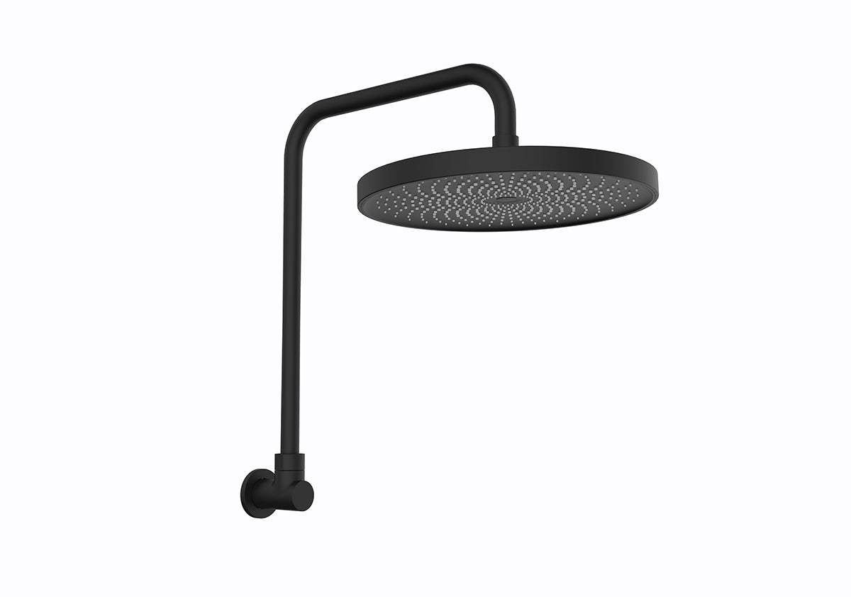 The Gabe Gooseneck Shower - Matte Black