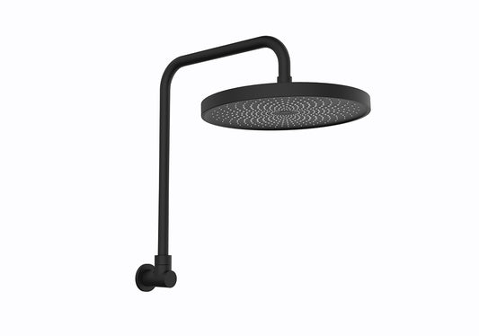 The Gabe Gooseneck Shower - Matte Black