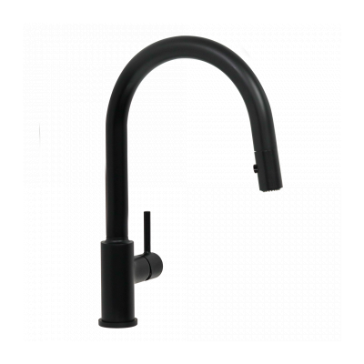 Vita Kitchen Mixer Pull Out Spray Matte Black