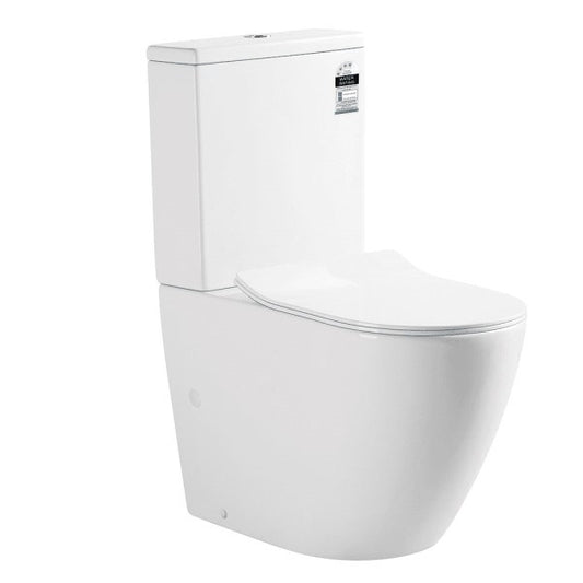 NORTON 665*360*845mm Gloss White Quiet Flushing Back to Wall Two-piece Toilet Suite