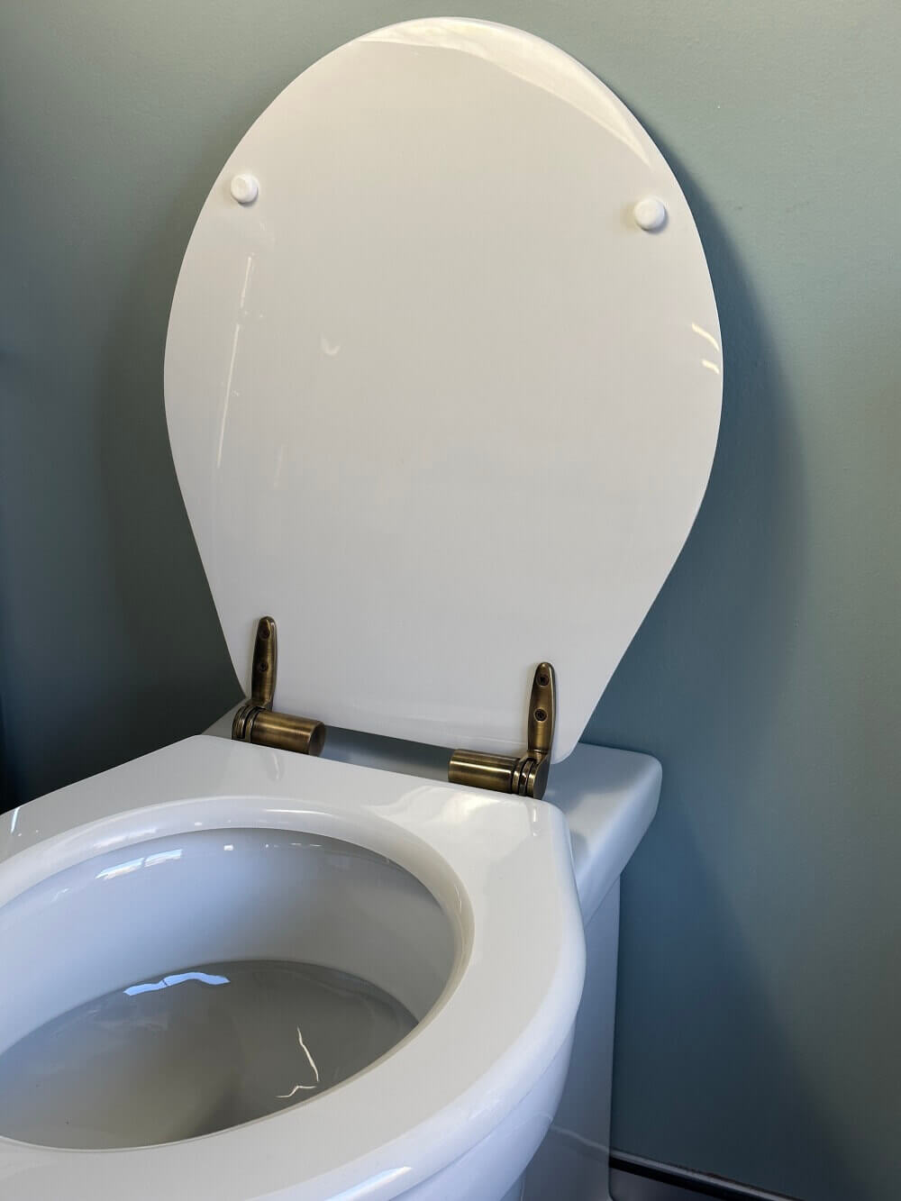 Claremont Floor Mounted Pan, Antique Brass Hinges, Seat And Pan Bend