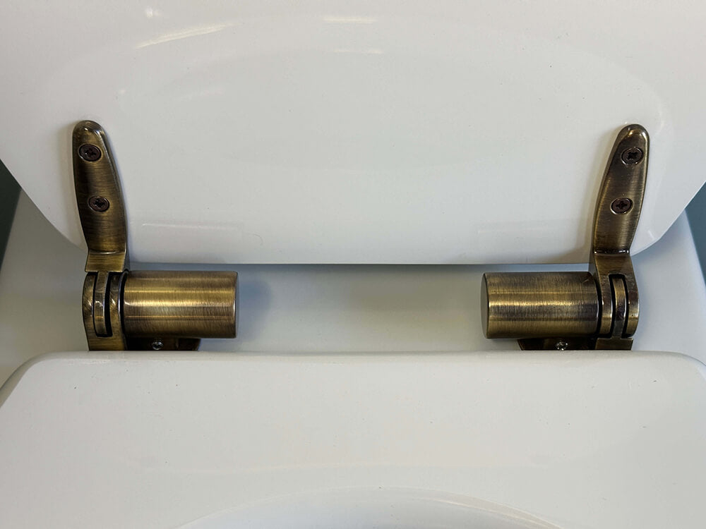 Claremont Floor Mounted Pan, Antique Brass Hinges, Seat And Pan Bend